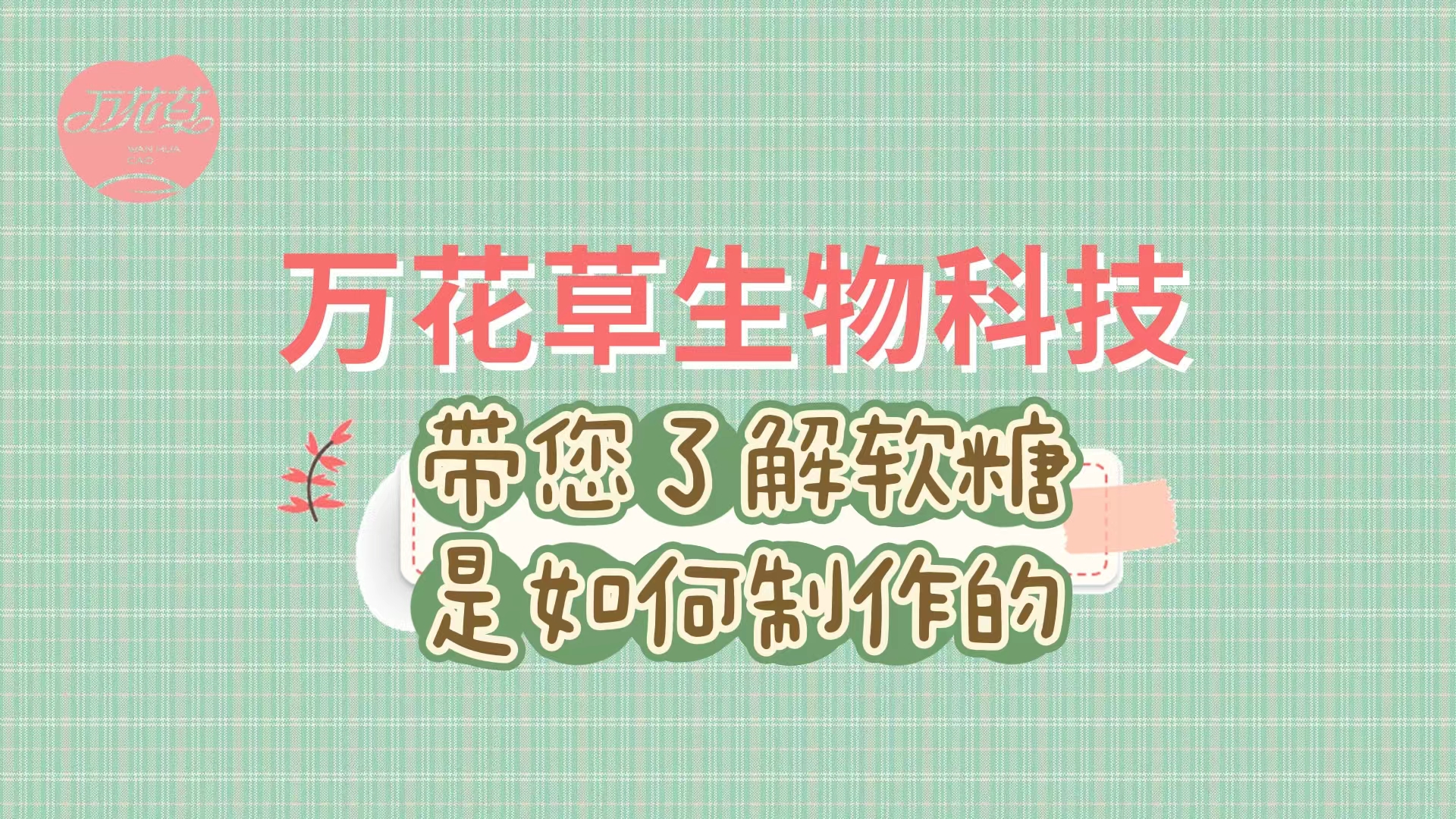 軟糖代加工生產(chǎn)工藝流程，帶您了解糖果是如何制作的