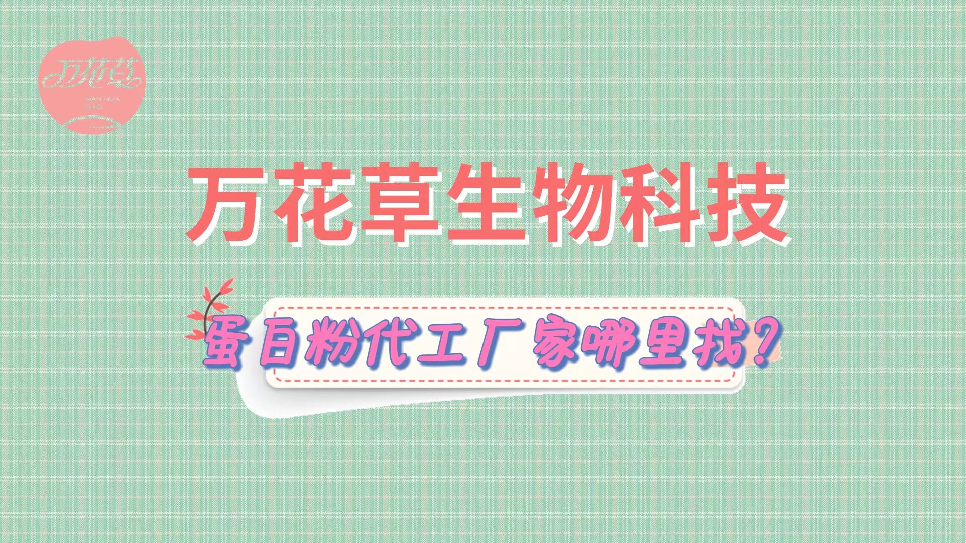 蛋白粉代加工，怎么找專業(yè)源頭廠家？