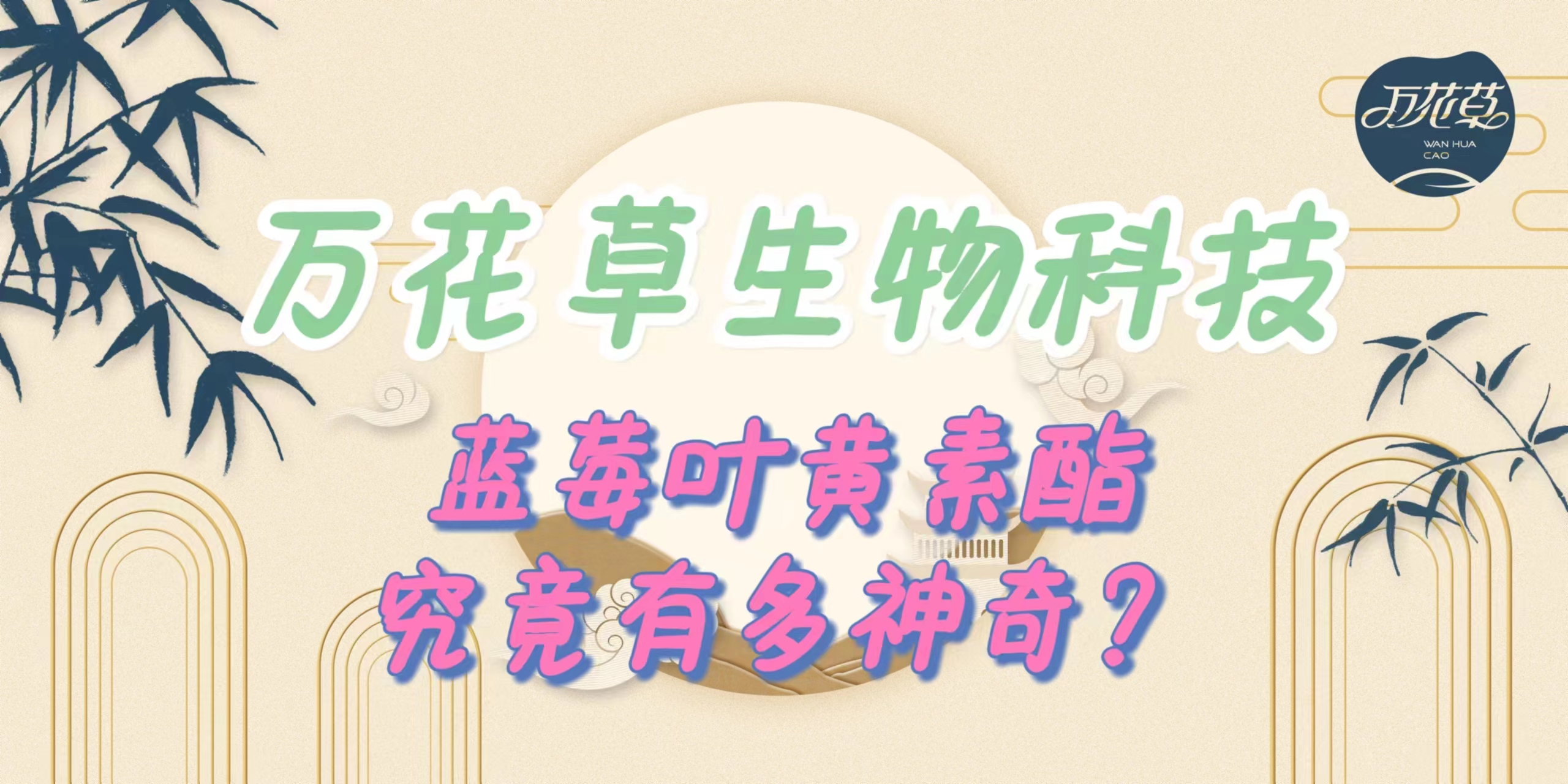 升級配方，重磅出擊，萬花草藍莓葉黃素酯究竟有多神奇？